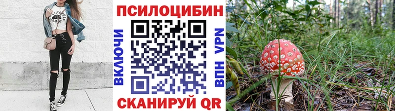 Галлюциногенные грибы Cubensis  Ейск 