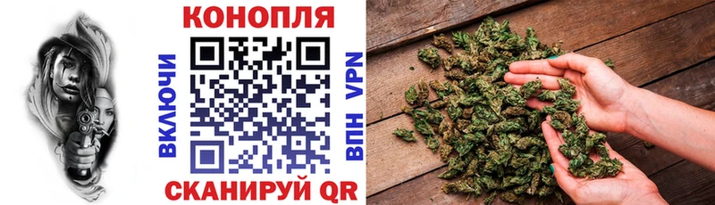 Бошки марихуана Amnesia Ейск